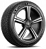 Шина Michelin Pilot Alpin 5 315/30 R21 105V XL (2021 г.в.)